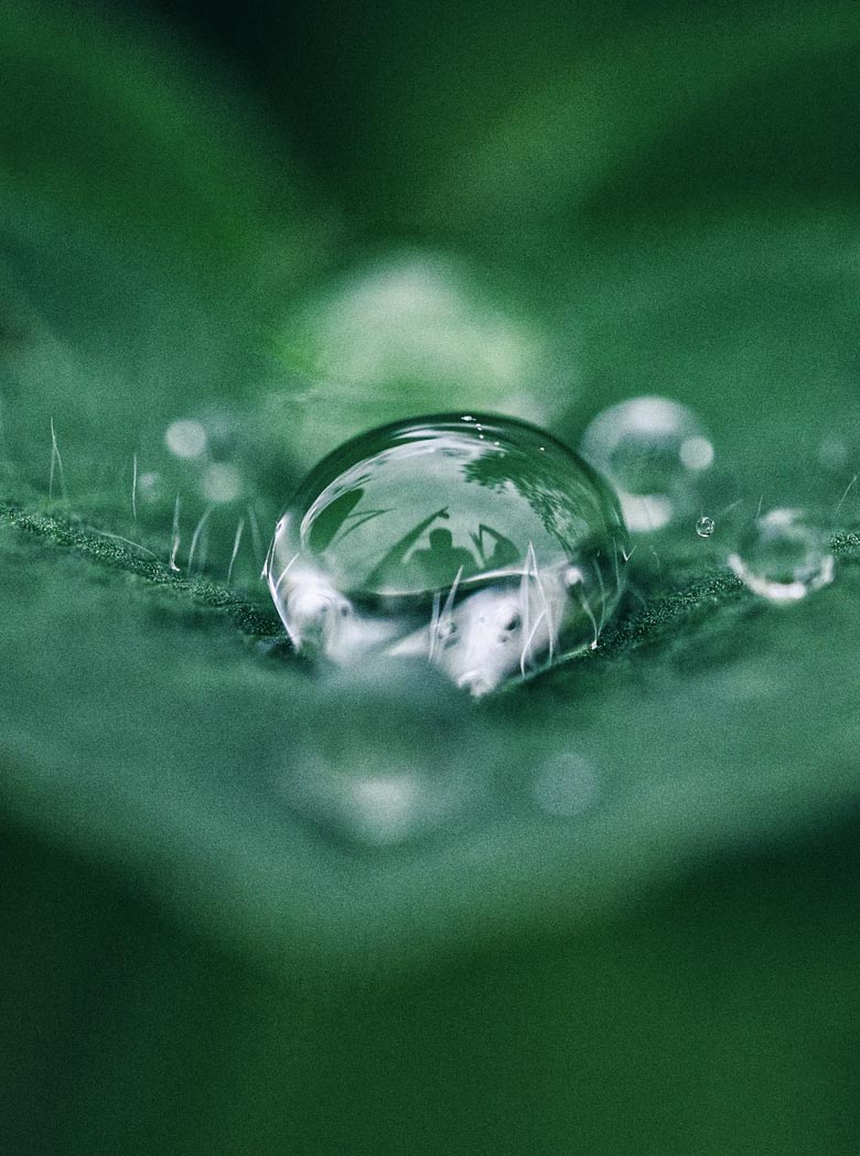 The Work of Byron Katie